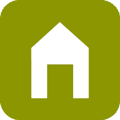 00 Home icon gruen